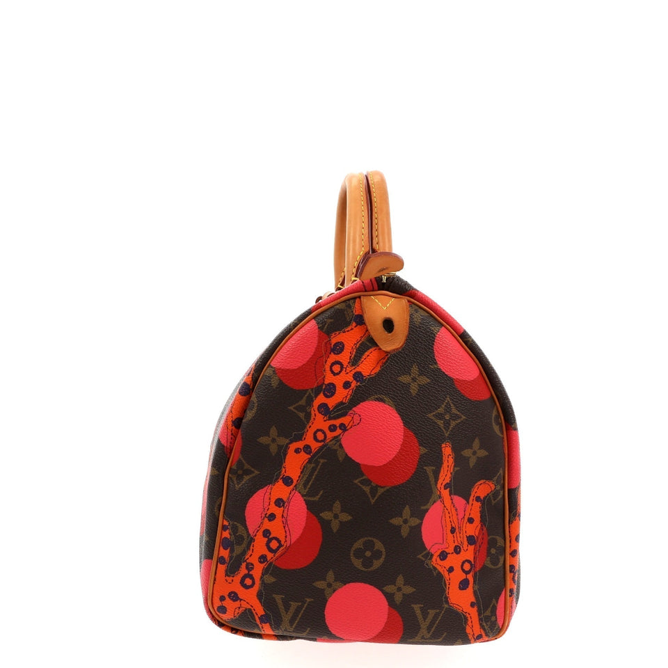 Louis Vuitton Handbag in Brown Canvas