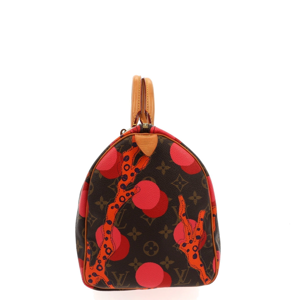 Louis Vuitton Handbag in Brown Canvas