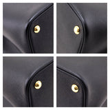 Prada Nero Fuoco Saffiano Cuir Medium Double Bag