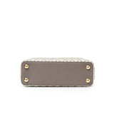 Louis Vuitton Since 1854 Embroidered Capucines BB Ecru/Taupe Calf Gold Hardware