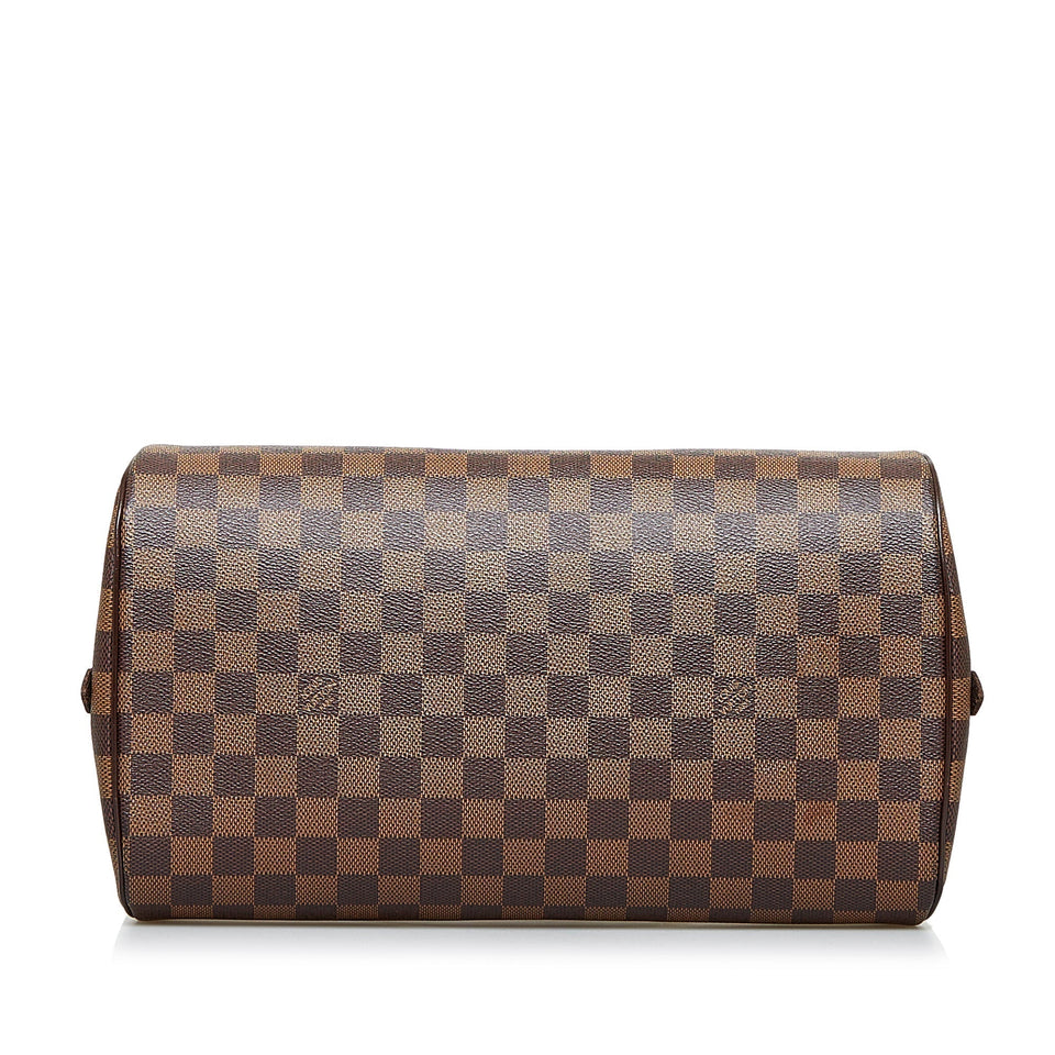 Louis Vuitton Damier Ebene Ribera MM Handbag