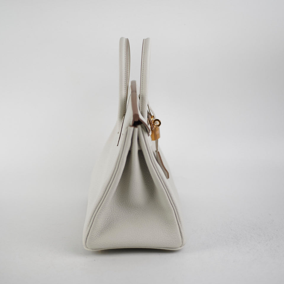 Hermes Birkin 25 Togo Gris Pale