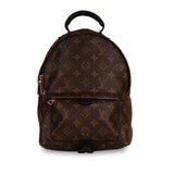 Louis Vuitton Palm Springs Backpack PM