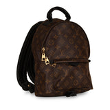 Louis Vuitton Palm Springs Backpack PM