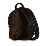 Louis Vuitton Palm Springs Backpack PM