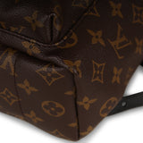 Louis Vuitton Palm Springs Backpack PM
