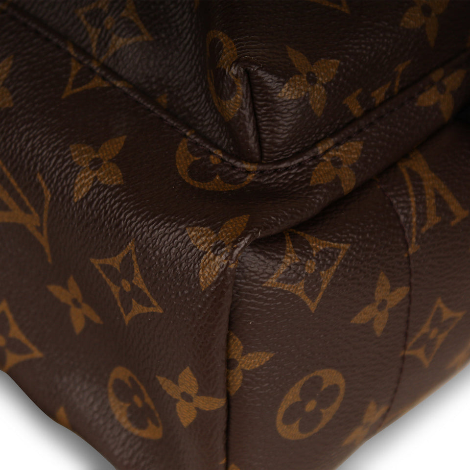 Louis Vuitton Palm Springs Backpack PM