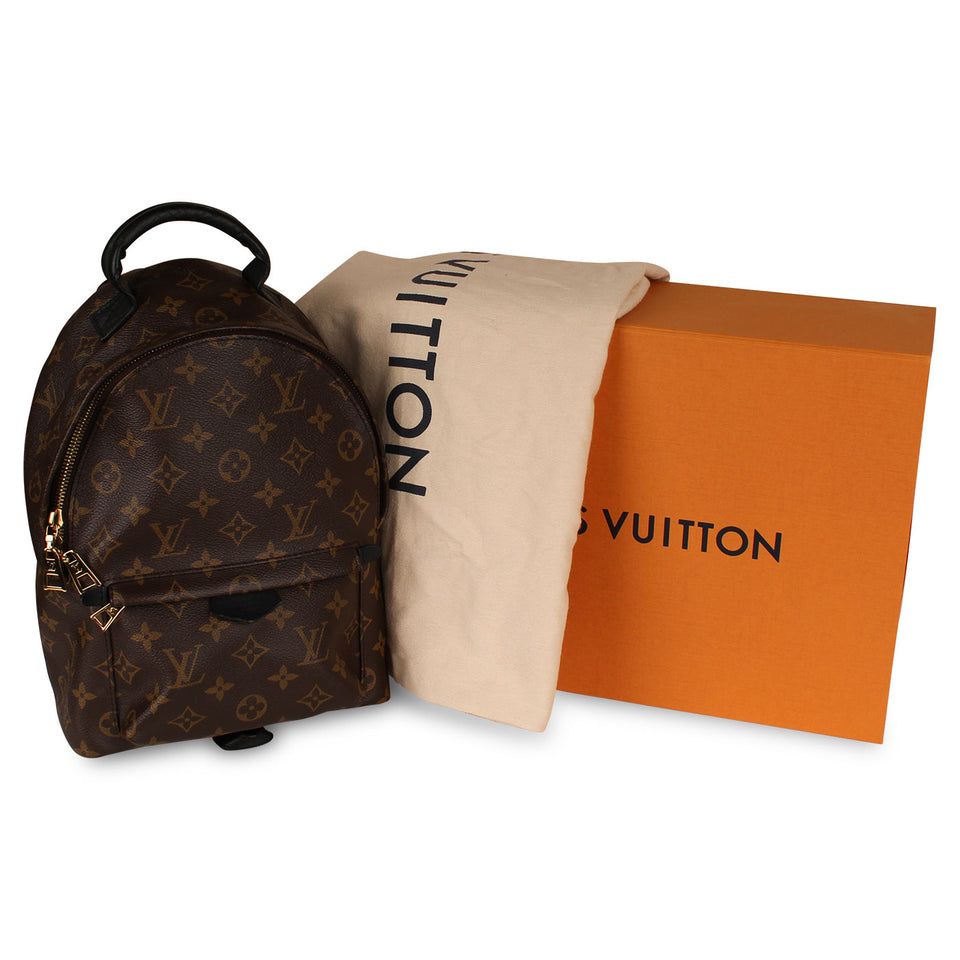Louis Vuitton Palm Springs Backpack PM