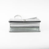 Dior Medium Diorama Metallic Silver