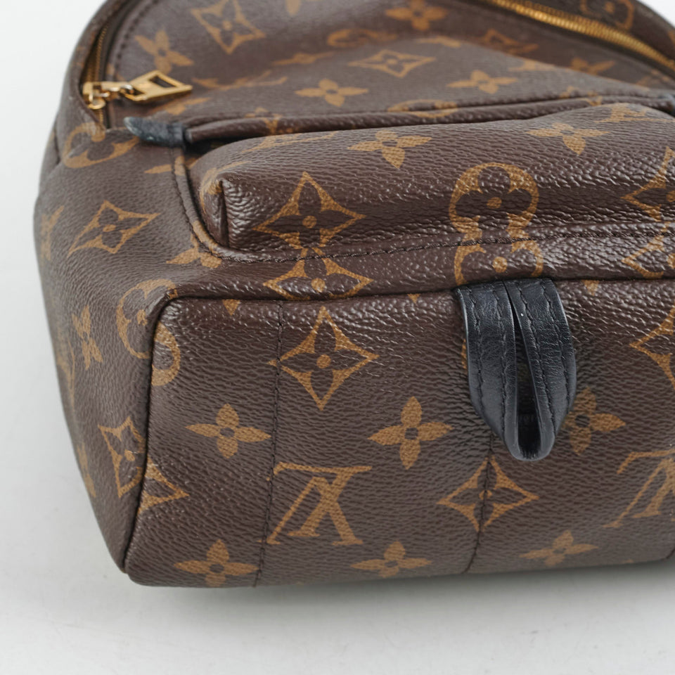 Louis Vuitton Mini Palm Spring Backpack Monogram