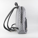 Louis Vuitton Campus Damier Grey Backpack