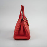 Hermes Birkin 25 Togo Rogue De Coeur - D Stamp