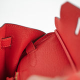 Hermes Birkin 25 Togo Rogue De Coeur - D Stamp