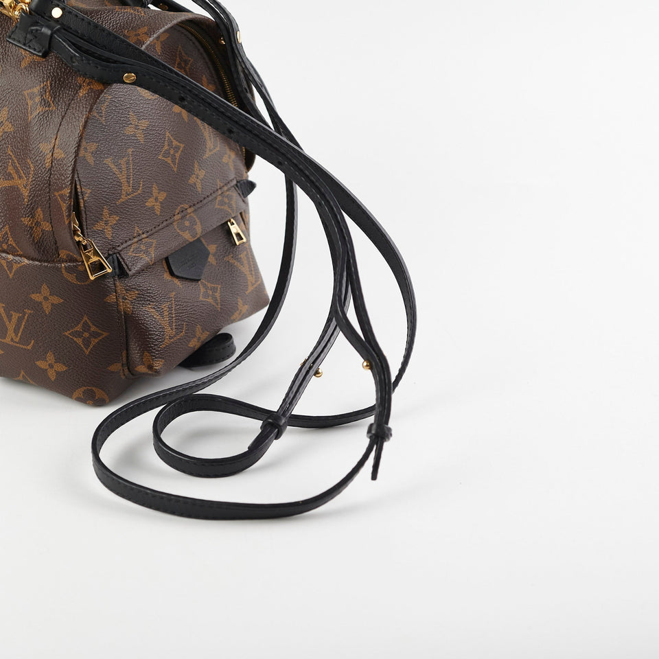 Louis Vuitton Palm Springs Mini Monogram Backpack