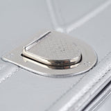 Dior Diorama Medium Metallic Silver
