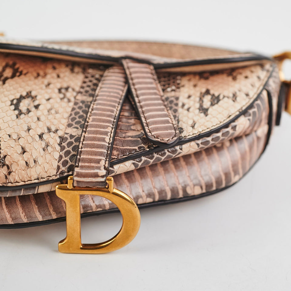 Christina Dior Mini Saddle Snake Skin