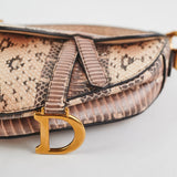 Christina Dior Mini Saddle Snake Skin