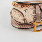 Christina Dior Mini Saddle Snake Skin