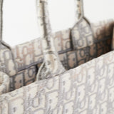 Christian Dior Medium Book Tote Oblique Grey