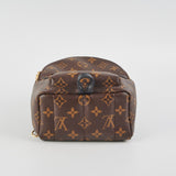 Louis Vuitton Palm Springs Monogram Mini Backpack
