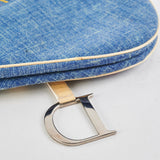 Christian Dior Embroidery Saddle