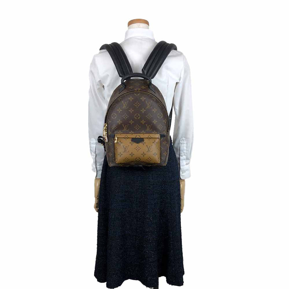Louis Vuitton Rucksack Palm Springs Backpack PM Monogram