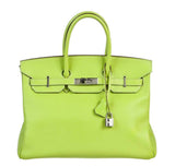 HermesBirkin 35 Kiwi Lichen Candy Collection Bag