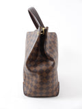 Louis Vuitton Damier Ebene Caissa Hobo Bag