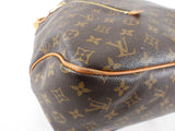 Louis Vuitton Monogram Canvas Delightful Bag
