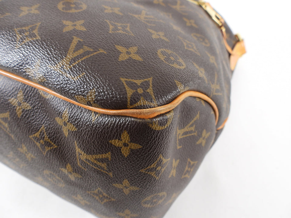 Louis Vuitton Monogram Canvas Delightful Bag