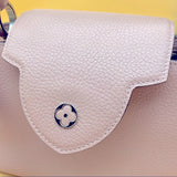 Louis Vuitton CAPUCINES PM Handbag