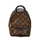 Louis Vuitton Palm Springs Mini Backpack