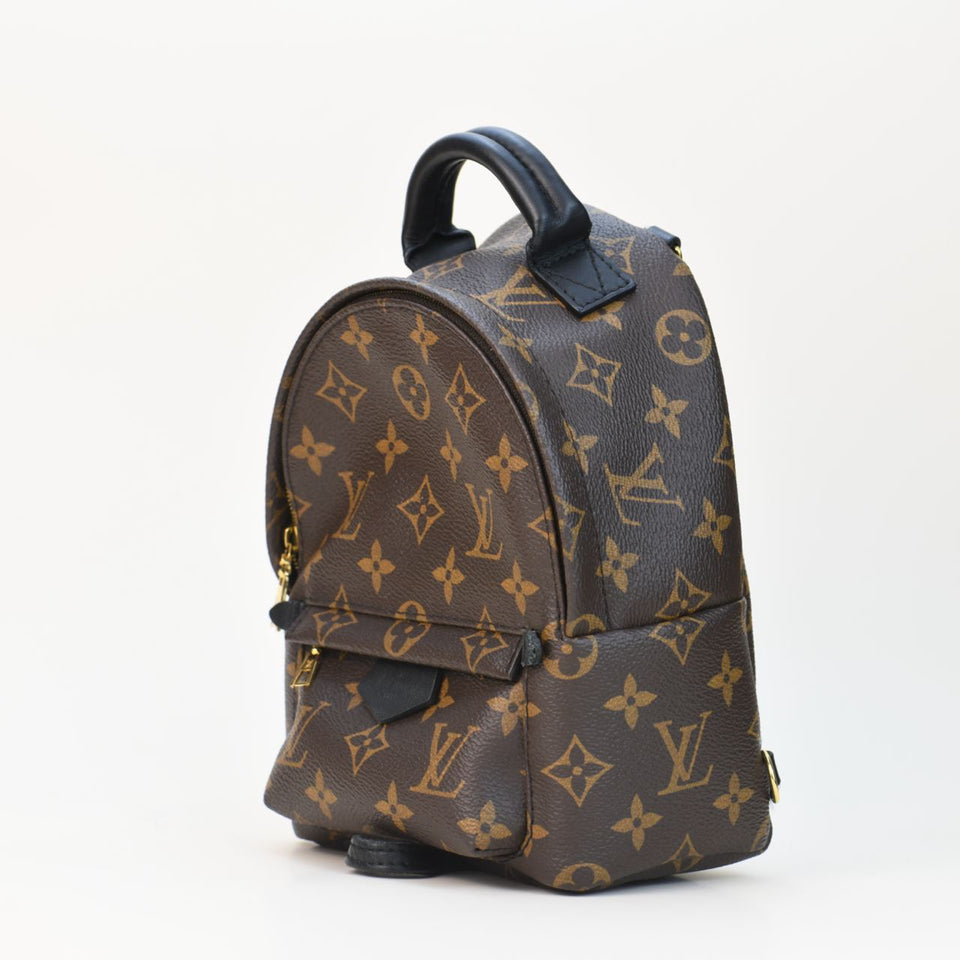 Louis Vuitton Palm Springs Mini Backpack