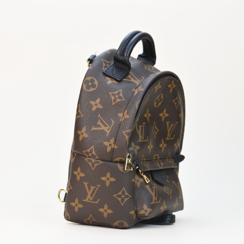 Louis Vuitton Palm Springs Mini Backpack