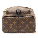 Louis Vuitton Palm Springs Mini Monogram Backpack