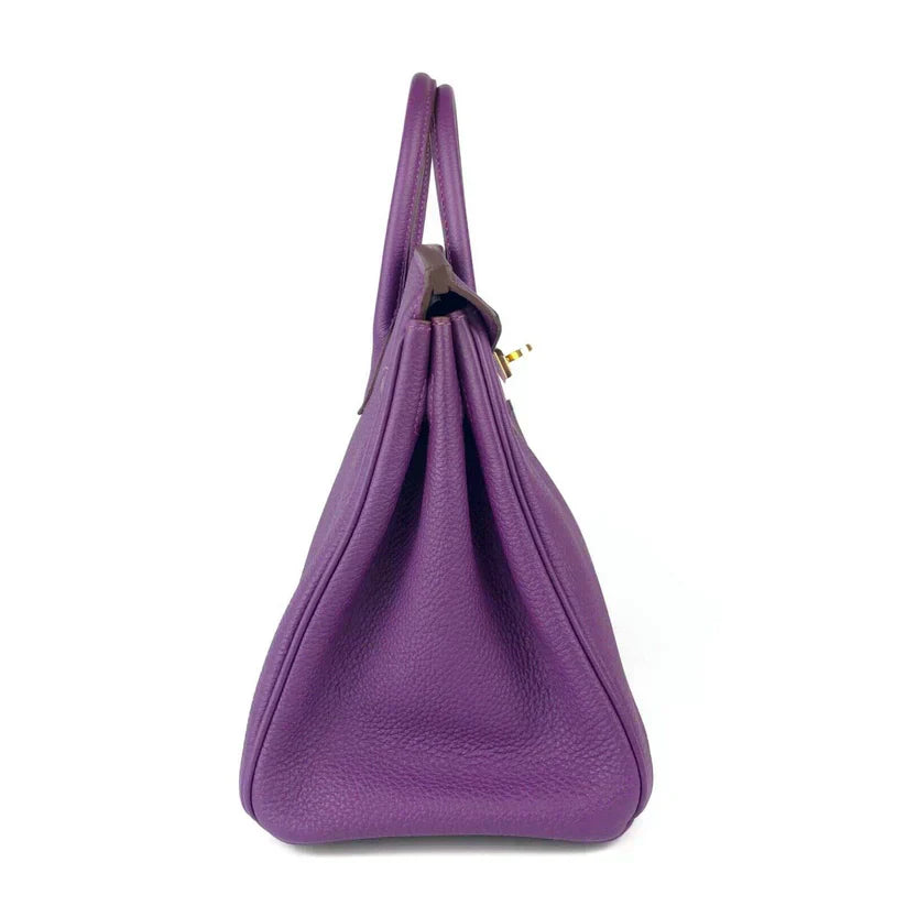 Hermes Birkin 25 Leather Gold Hardware Handbag Bag for Women (Purple Matt)